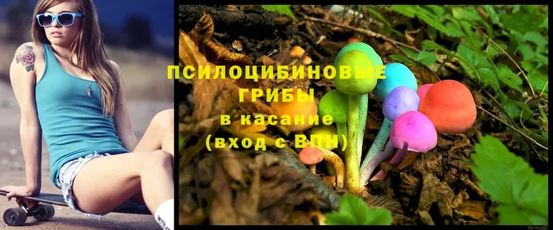 Псилоцибиновые грибы Magic Shrooms  наркота  mega   Макушино 